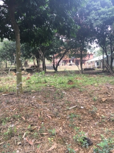 CHÍNH CHỦ bán 750m2 và 2000m2 đất Đồng Đò, Sóc Sơn, Hà nội, Làm Villa, Homestay, Biệt Thự (đã bán)