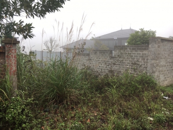 Cần Bán Đất Đẹp Giá Rẻ Tại Trung Tâm chợ Phú Hạ xã Minh Phú.