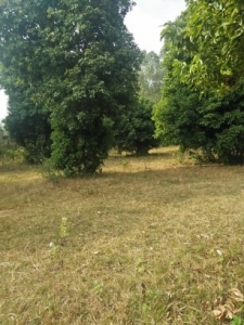 Đất khu sân Gold, khu du lịch cuối tuần Sóc Sơn, Hà nội